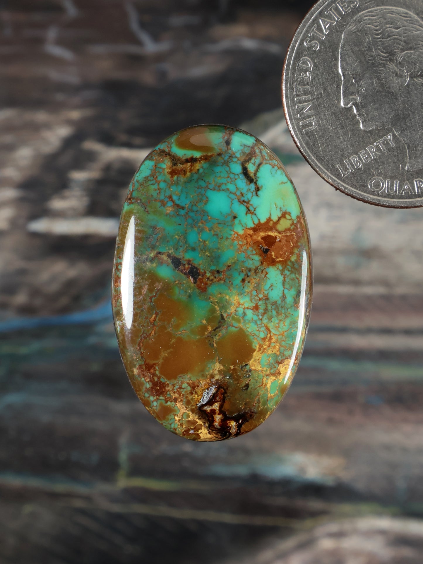 Oval turquoise cabochon with teal-green color and dark brown matrix veins