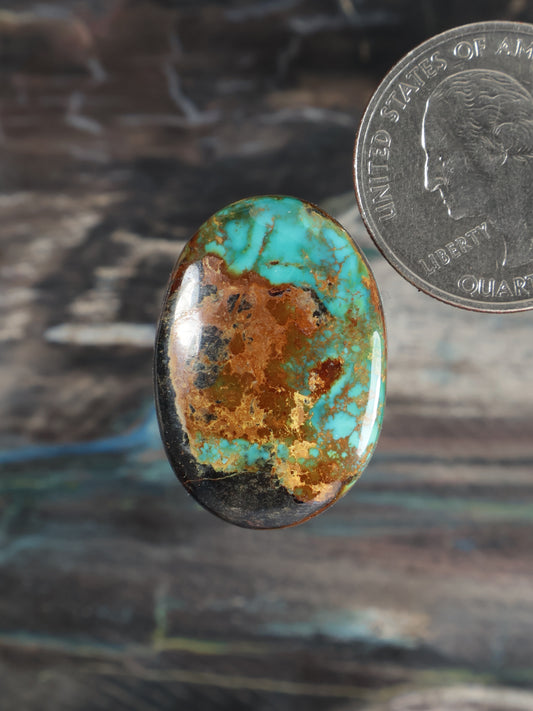 Turquoise cabochon gemstone with oval face, blue-green stone and brown matrix in dark bezel