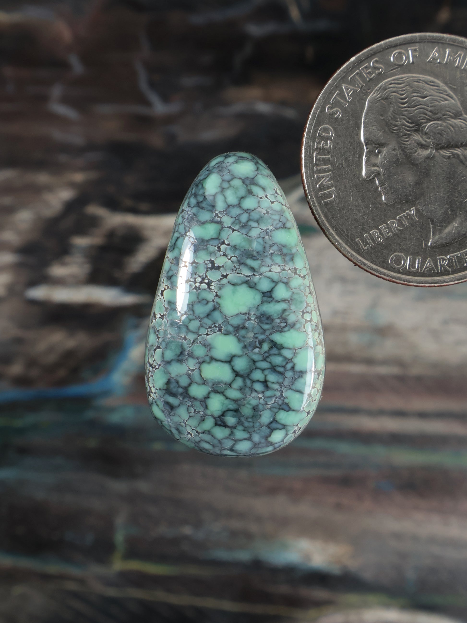 Starfox Variscite teardrop cabochon with turquoise matrix webbing, polished dome