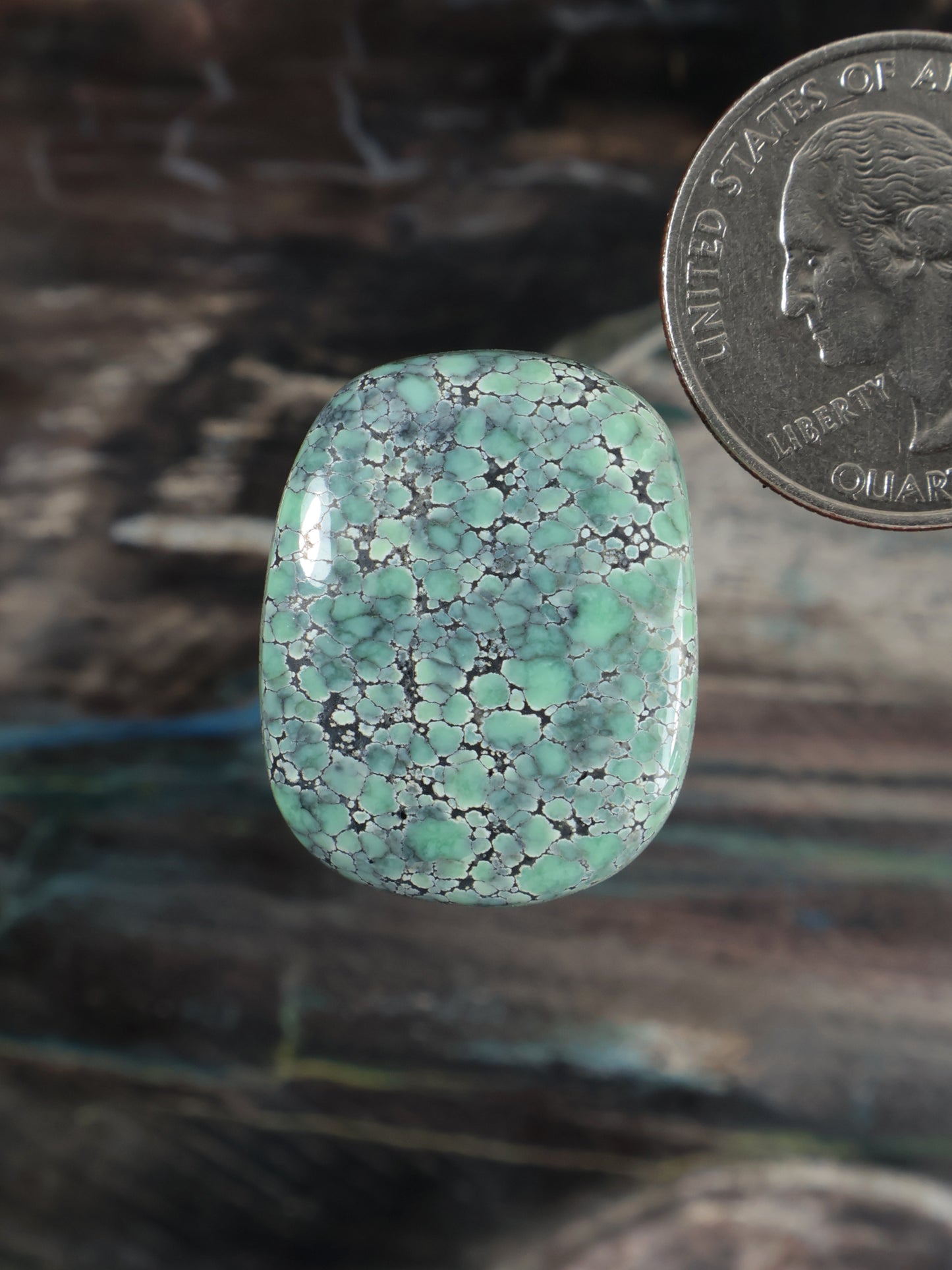 Green variscite cabochon, oval polished stone with webbed matrix pattern