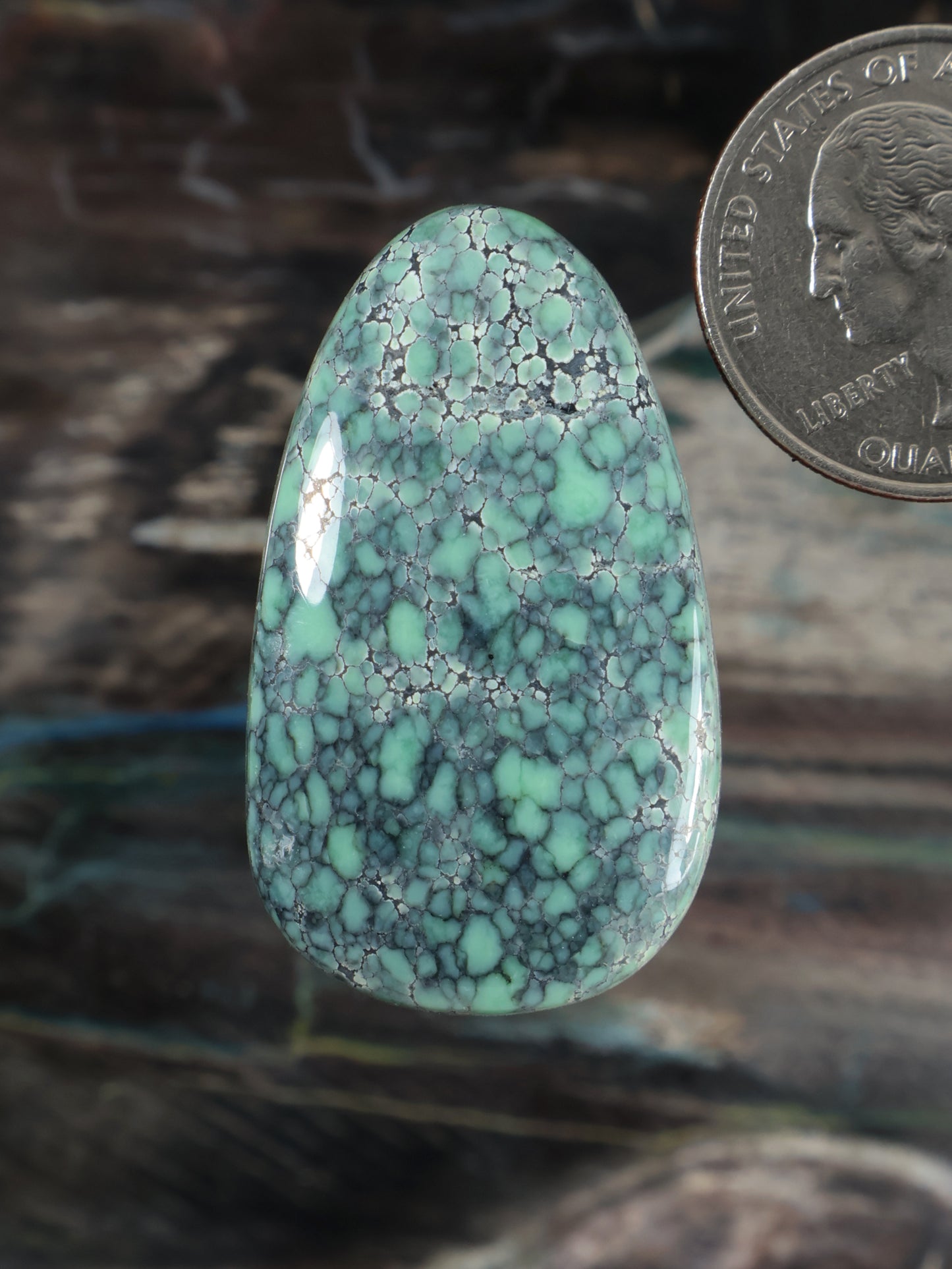 Starfox Variscite cabochon, oval turquoise stone with natural web pattern