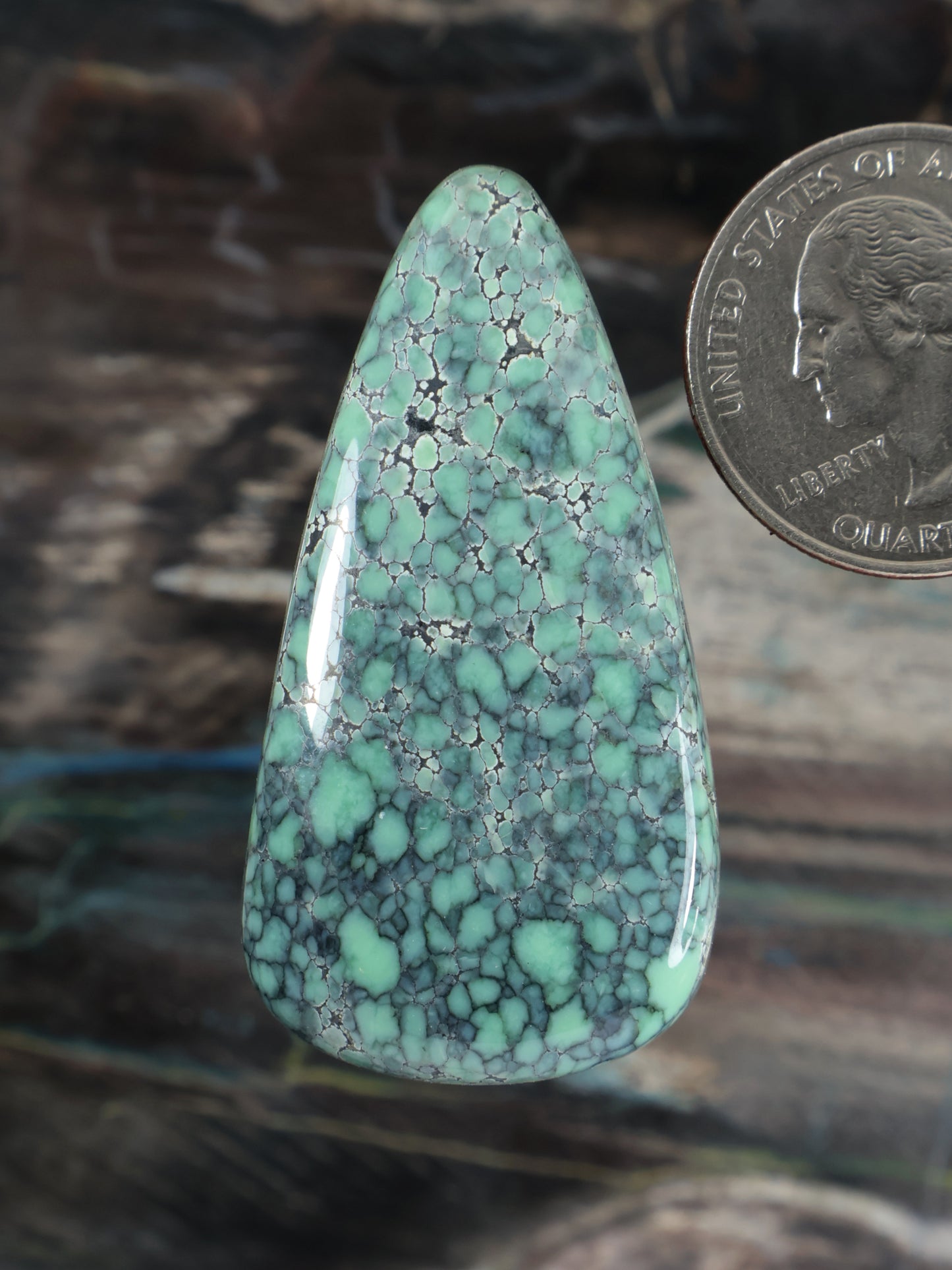 Starfox Variscite teardrop cabochon, turquoise-green with dark vein web
