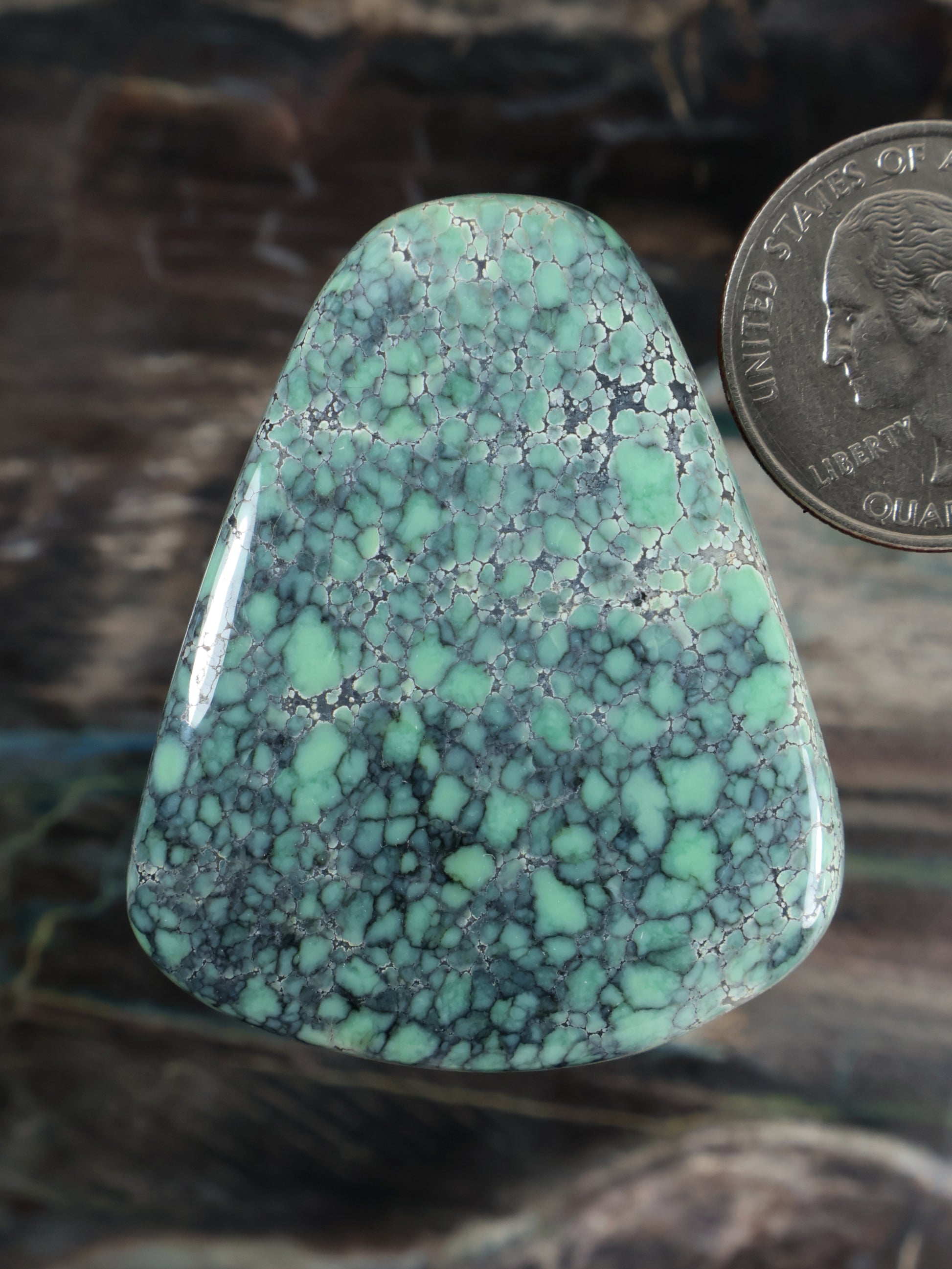 Turquoise-green variscite cabochon in a smooth teardrop shape