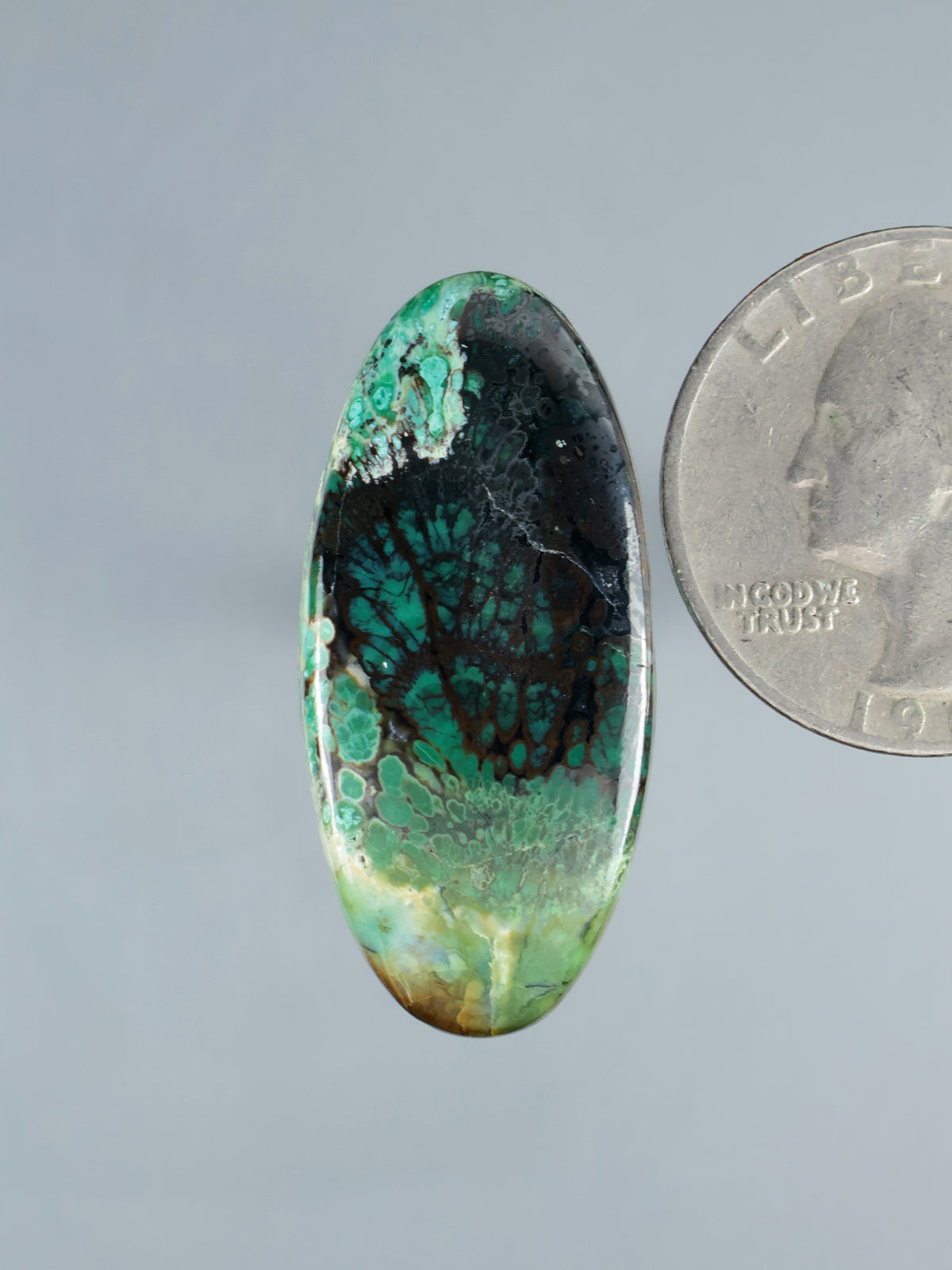 Oval opalized petrified wood cabochon with green, black, and white banded pattern