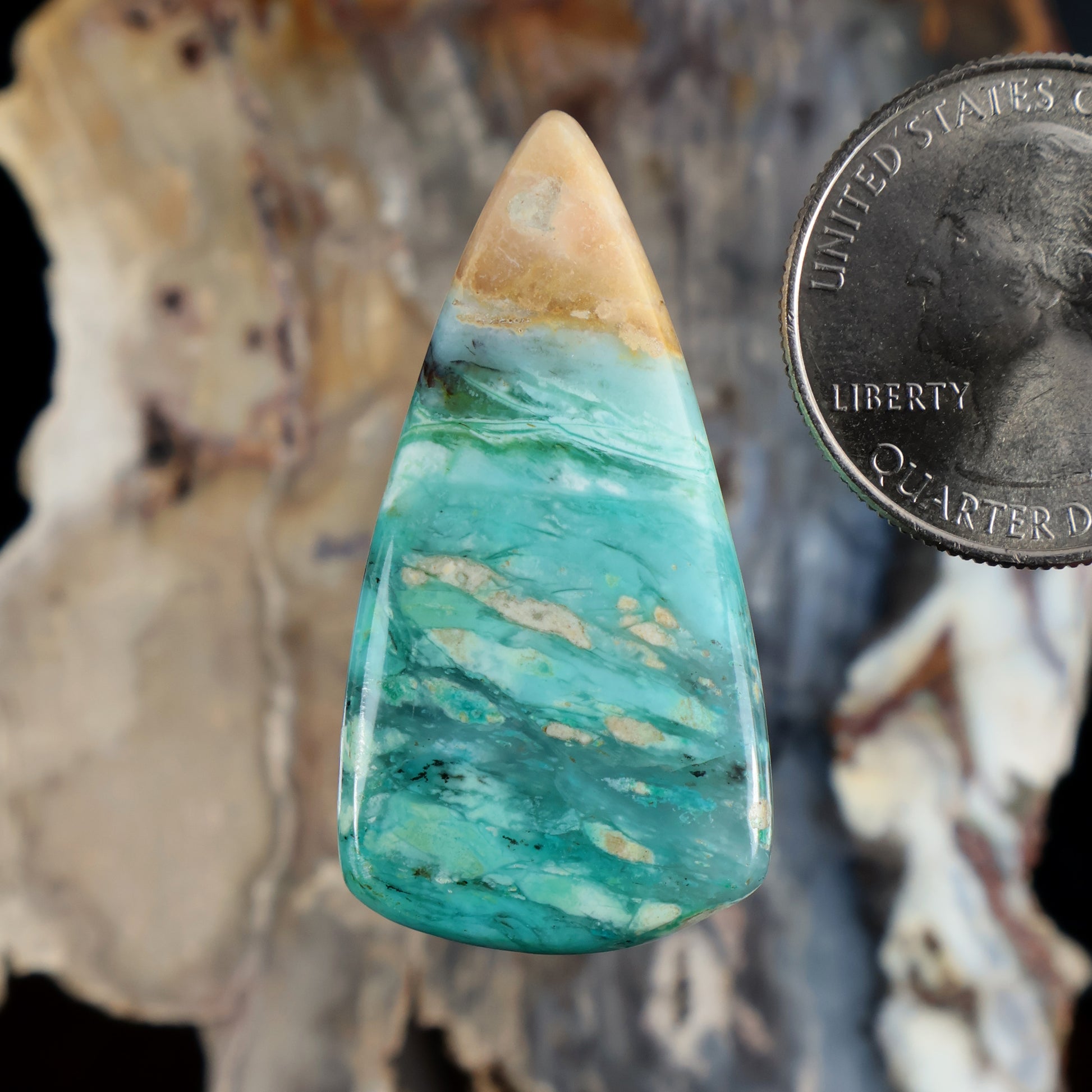 Teardrop opalized petrified wood cabochon, turquoise blue with banded veining