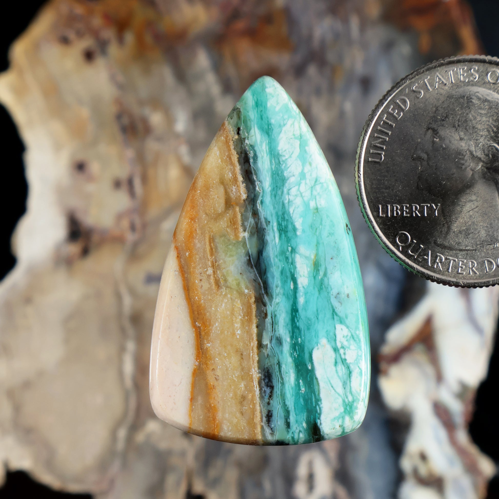 Opalized petrified wood cabochon, teardrop shape, teal center with amber bands.