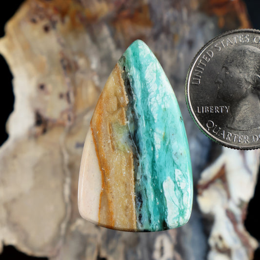 Opalized petrified wood cabochon, teardrop shape, teal center with amber bands.