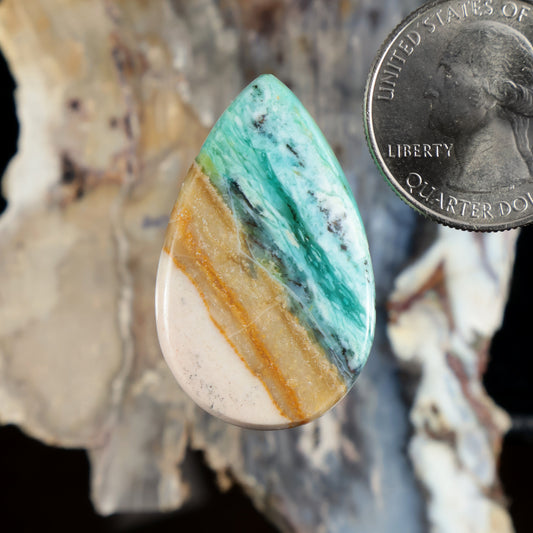 Teardrop petrified wood cabochon in turquoise, white, with amber striations