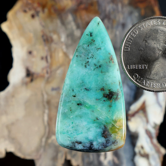 Turquoise-blue opalized petrified wood teardrop cabochon with dark speckles, polished