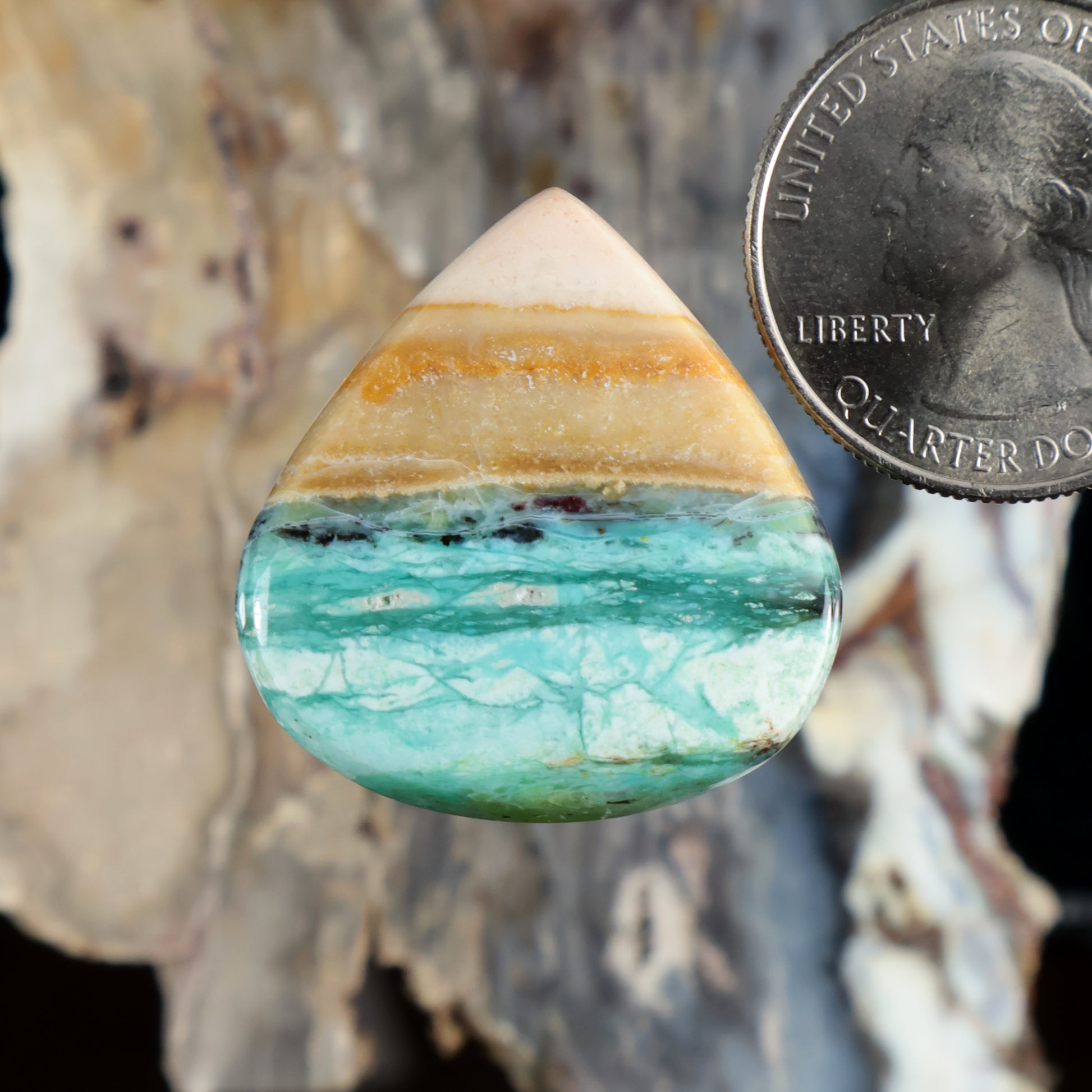 Teardrop opalized petrified wood cabochon with turquoise-blue banding, polished