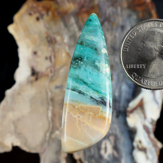 Blue and turquoise opalized petrified wood cabochon, teardrop shape with banded pattern