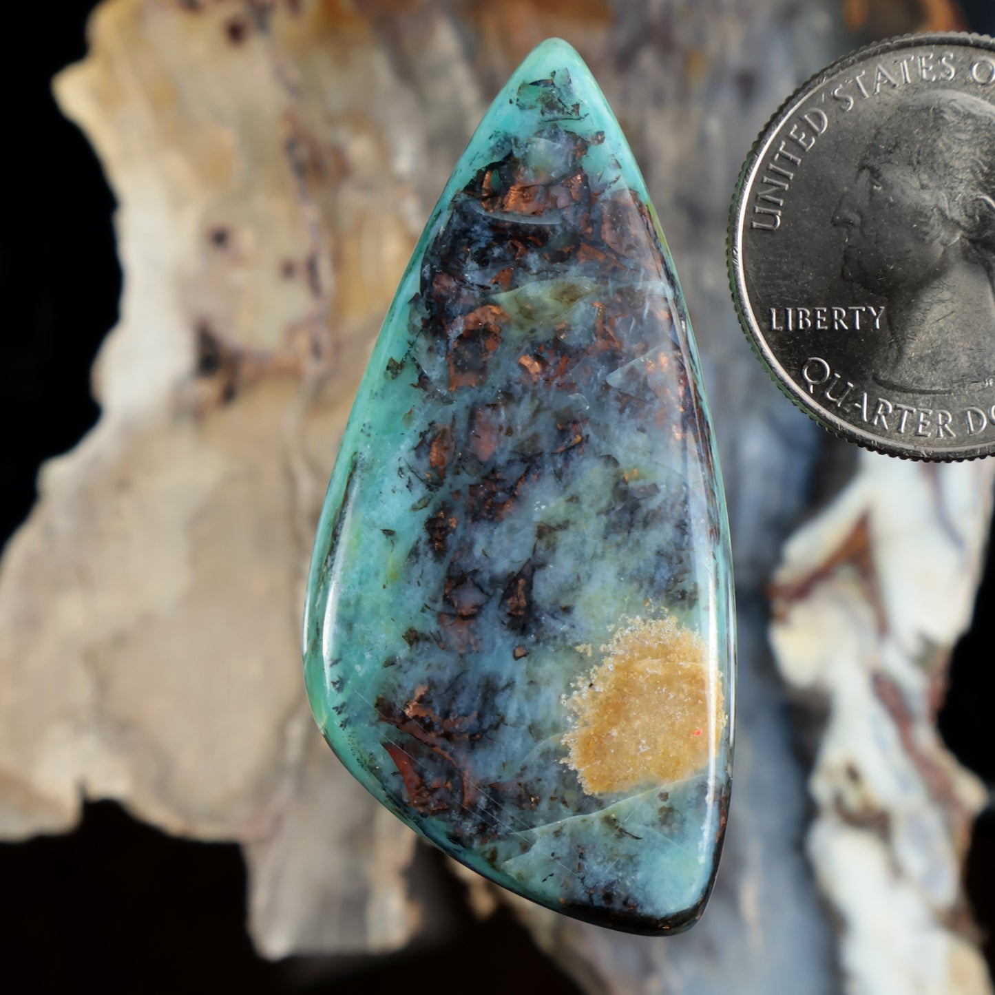 Teardrop opalized petrified wood cabochon, turquoise blue with dark matrix and gold flecks