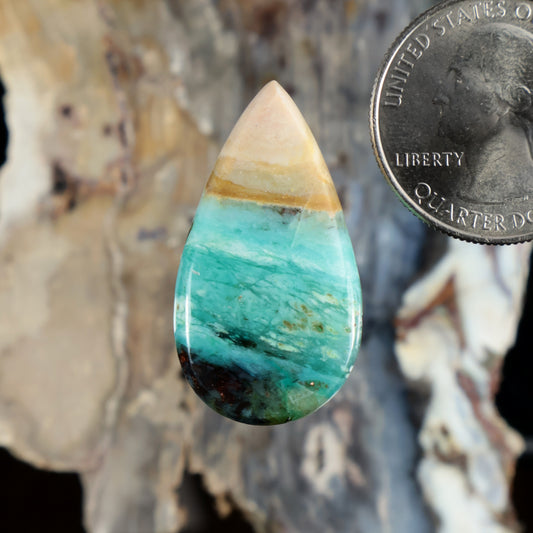 Teardrop cabochon gemstone, opalized turquoise with pale yellow banding
