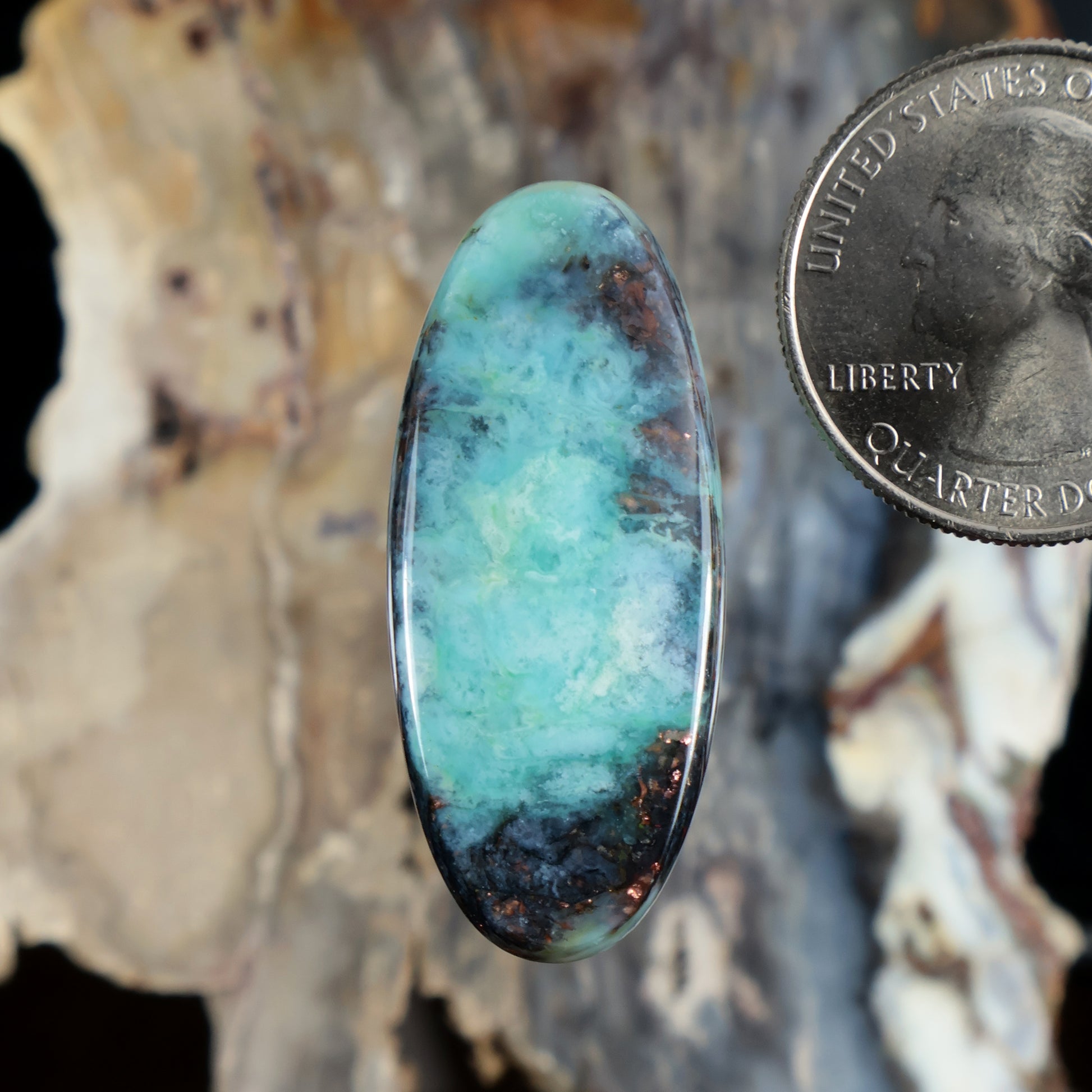Oval opalized petrified wood cabochon, turquoise blue with dark veining