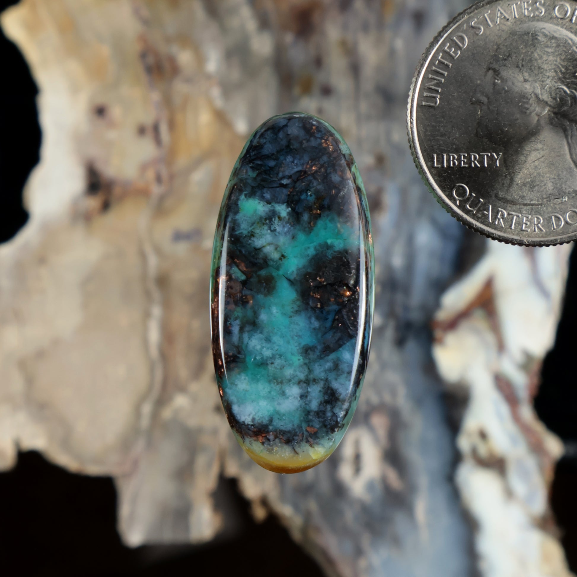 Oval opalized petrified wood cabochon, teal-blue with green veins and dark speckles.
