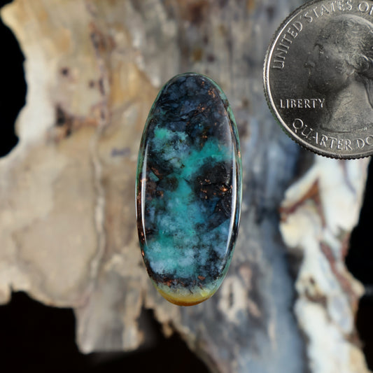 Oval opalized petrified wood cabochon, teal-blue with green veins and dark speckles.