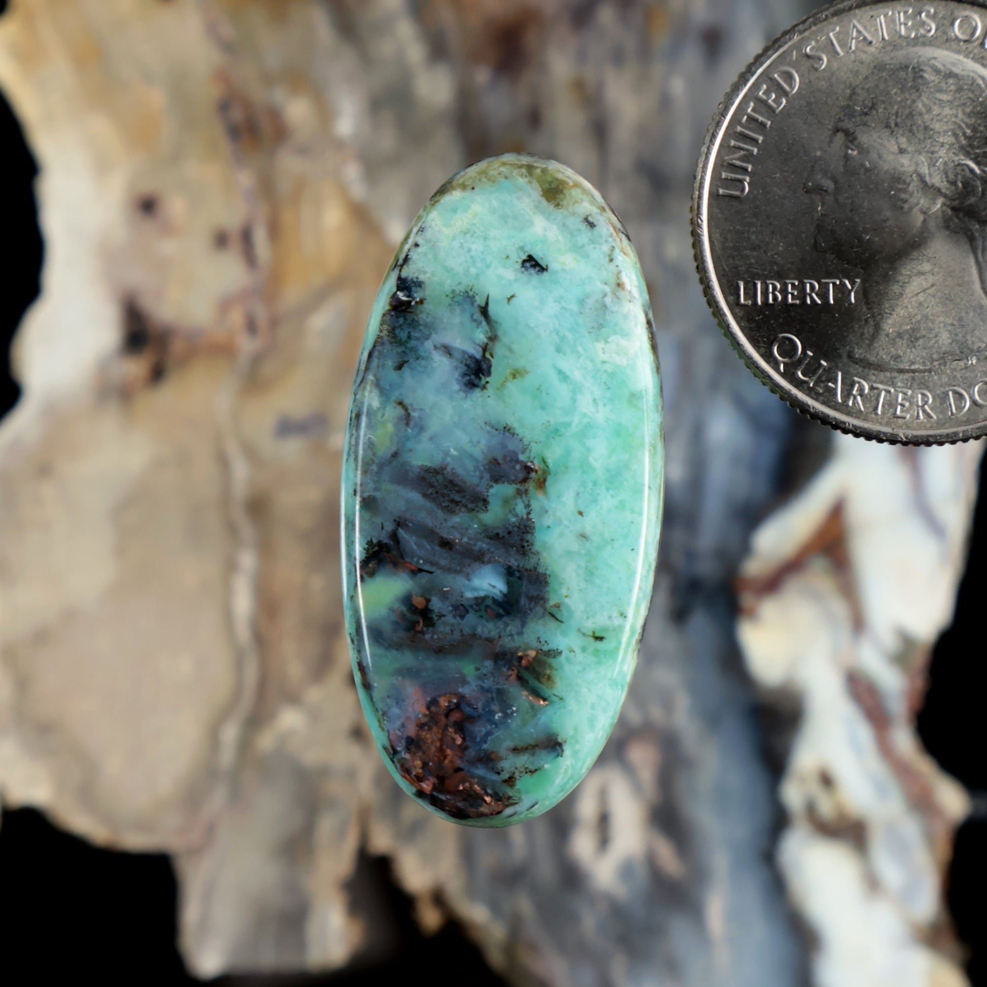 Oval opalized petrified wood cabochon, turquoise-blue with dark mottled inclusions