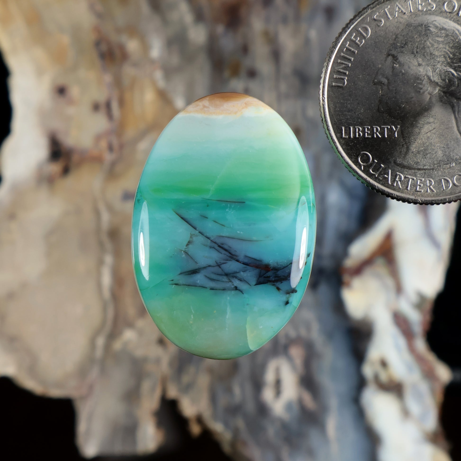 Opalized petrified wood cabochon, oval turquoise with dark veining and glossy finish