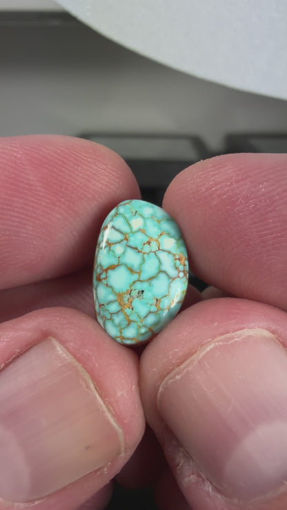 Number 8 Turquoise Cabochon B012