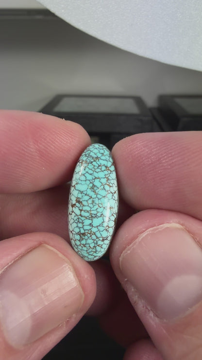 Number 8 Turquoise Cabochon B004
