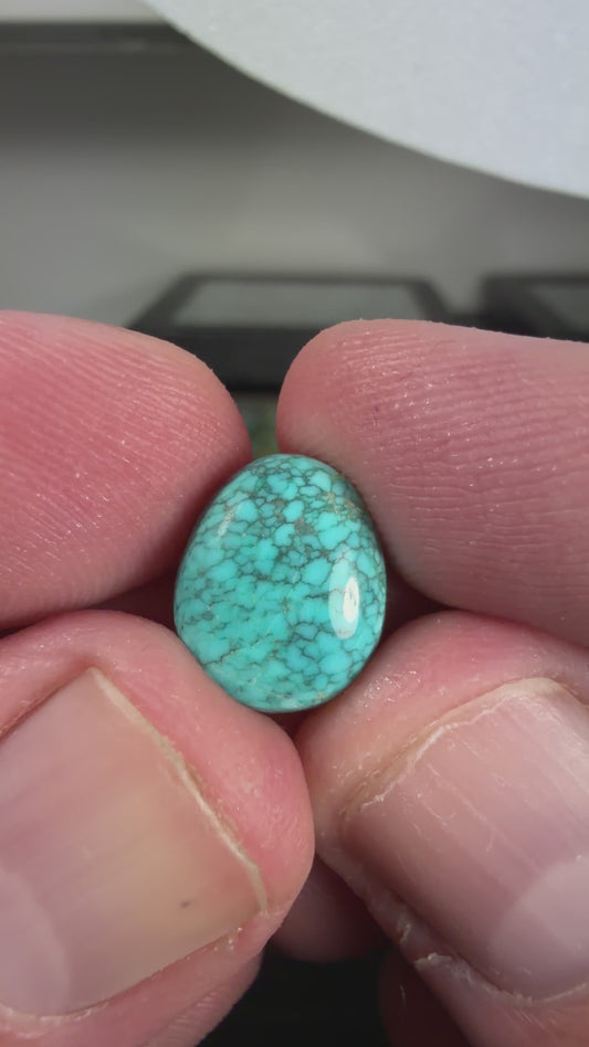 Number 8 Turquoise Cabochon B007