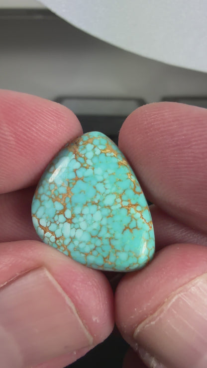 Number 8 Turquoise Cabochon B015