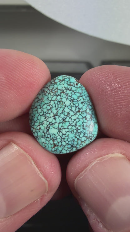 Number 8 Turquoise Cabochon B001