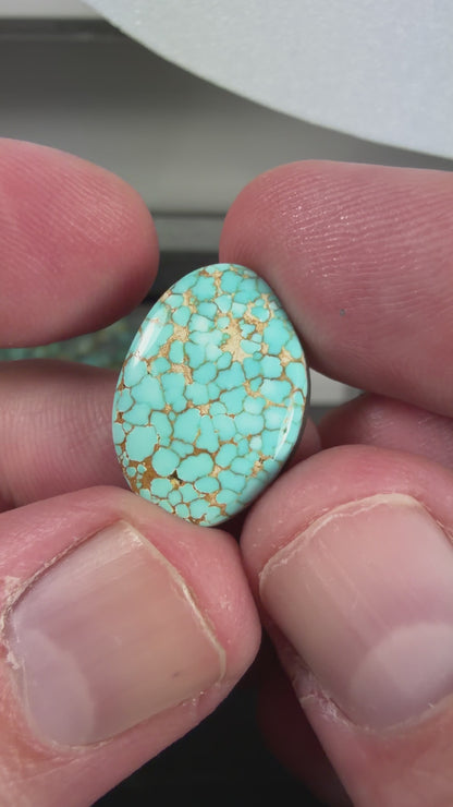 Number 8 Turquoise Cabochon B008