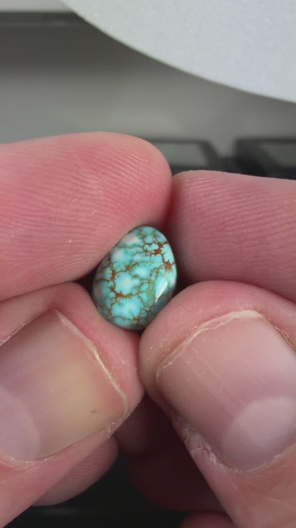 Number 8 Turquoise Cabochon B014