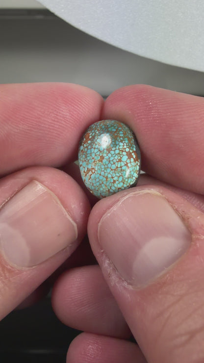 Number 8 Turquoise Cabochon B006