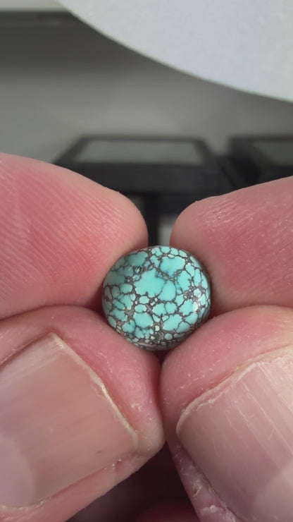 Number 8 Turquoise Cabochon B005