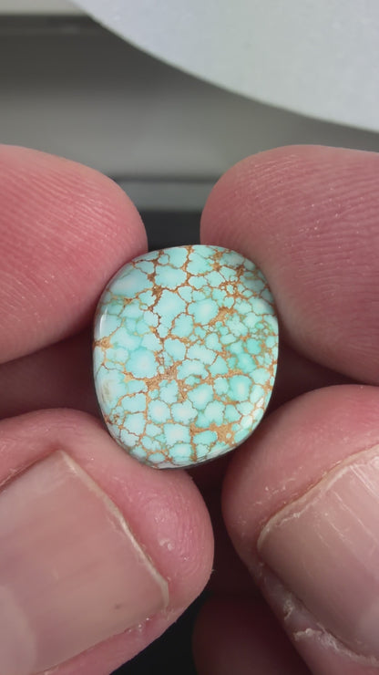 Number 8 Turquoise Cabochon B016