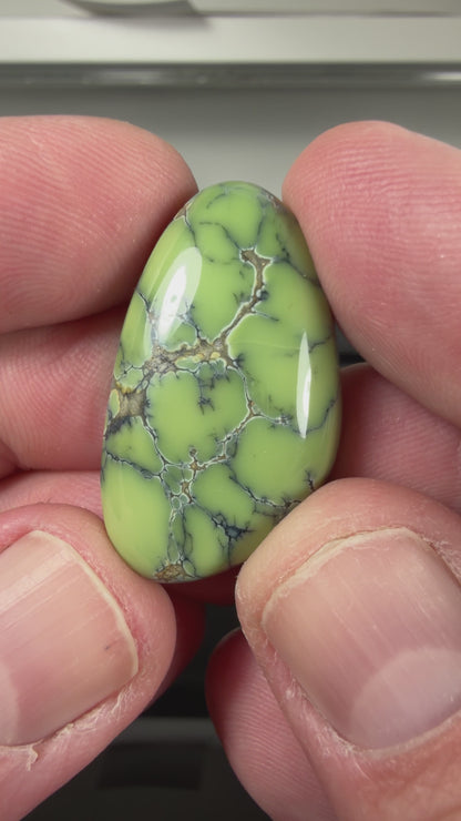Prince Variscite Cabochon B147
