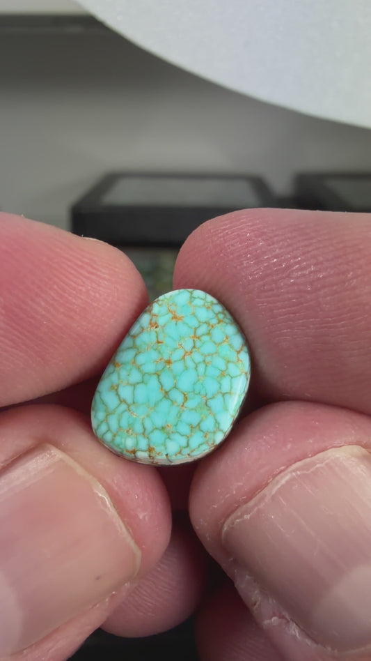 Number 8 Turquoise Cabochon B013