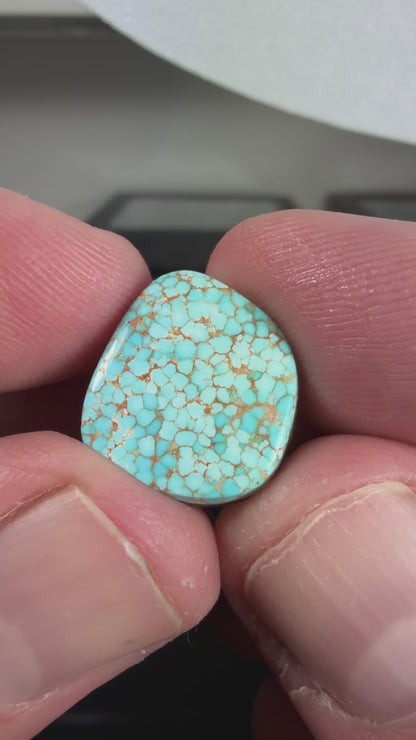Number 8 Turquoise Cabochon B011