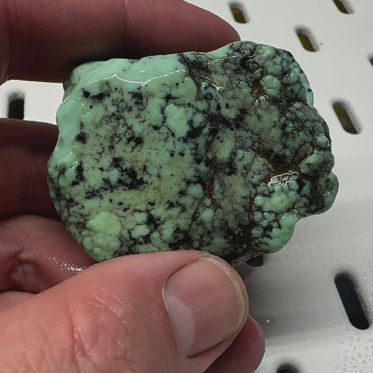 Natural Angel Wing Variscite Rough