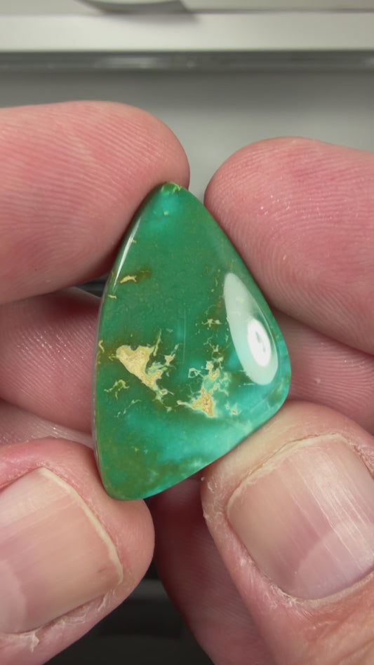 Royston Montezuma Turquoise Cabochon B138