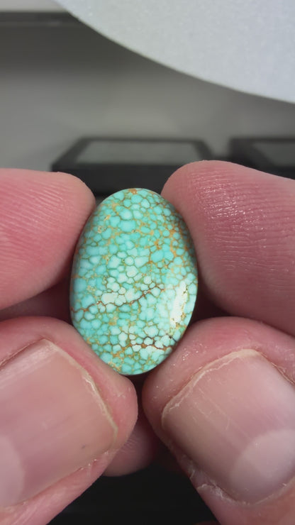 Number 8 Turquoise Cabochon B009