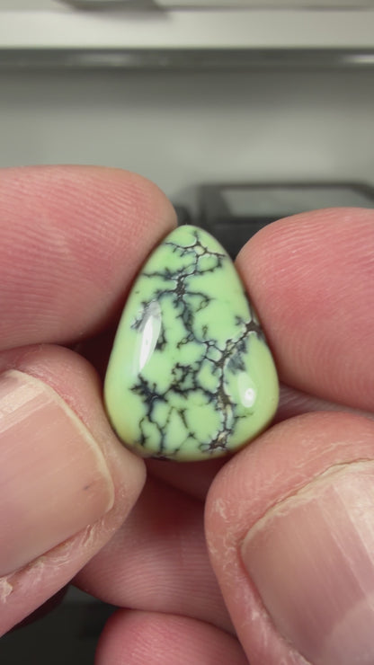 Prince Variscite Cabochon B144
