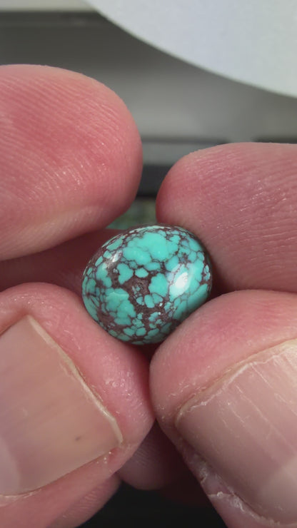 Bisbee Webbed Turquoise Cabochon B018