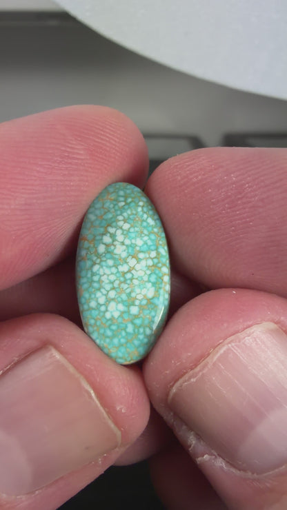 Number 8 Turquoise Cabochon B010