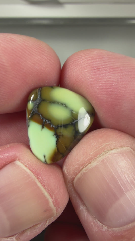 Prince Variscite Cabochon B146