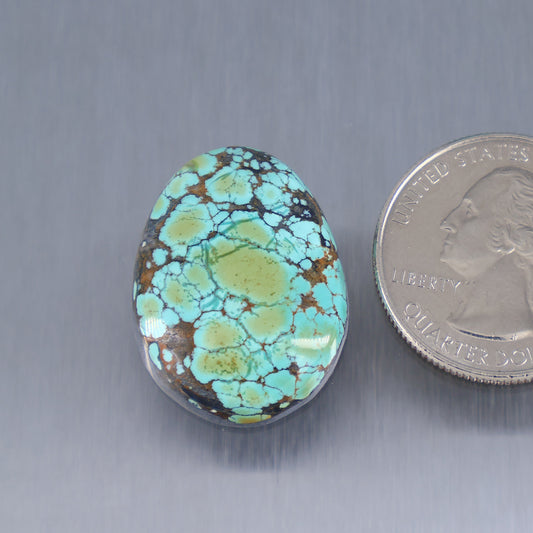 Skyhorse turquoise cabochon gemstone, oval blue-green with webbed matrix pattern