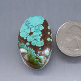 Sky Horse Turquoise Cabochon A259