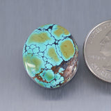 Sky Horse Turquoise Cabochon A262