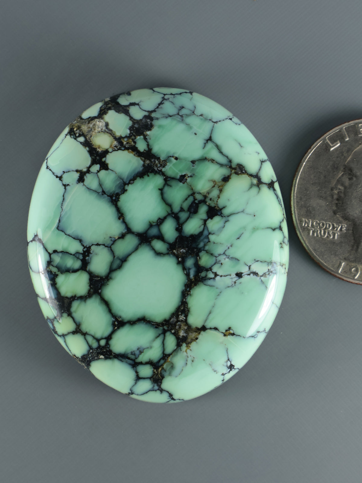 Turquoise variscite oval cabochon with dark webbed matrix veins