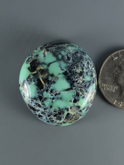 Prince Variscite cabochon, round turquoise with dark veining and speckled matrix