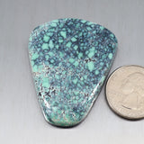 Starfox Variscite Cabochon A215