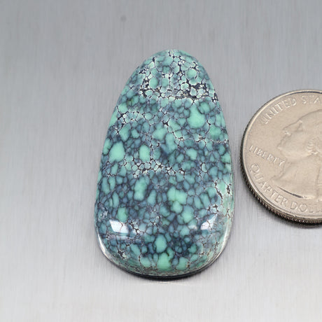 Starfox Variscite Cabochon A217