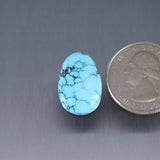 Blue Moon Turquoise Cabochon A300